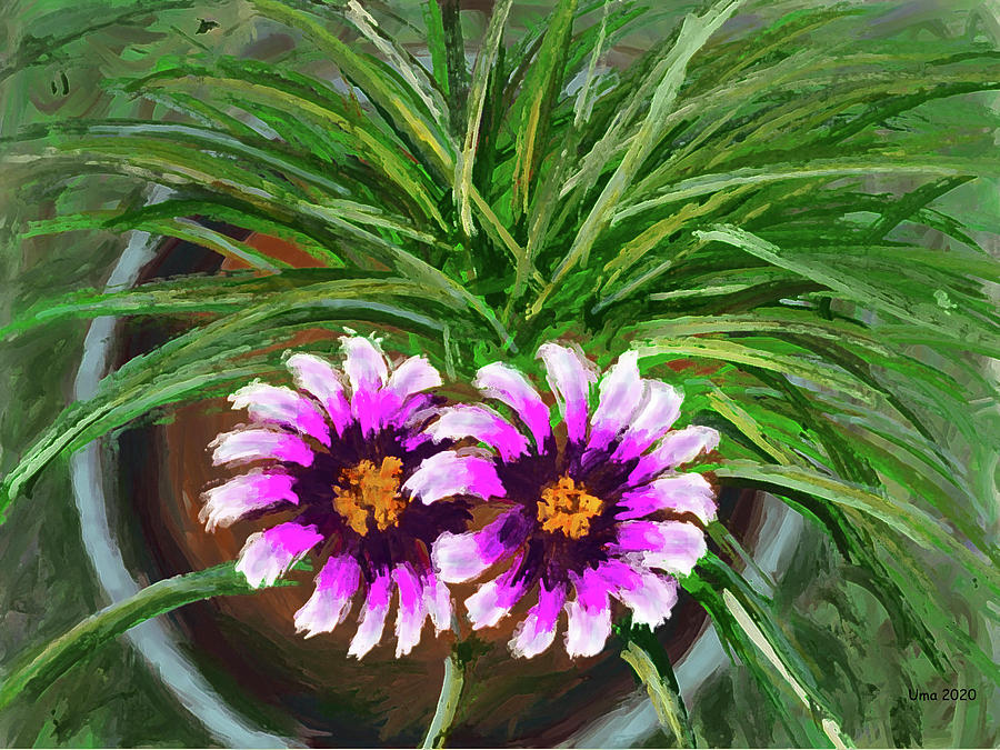 Flowers from my garden 9 Digital Art by Uma Krishnamoorthy