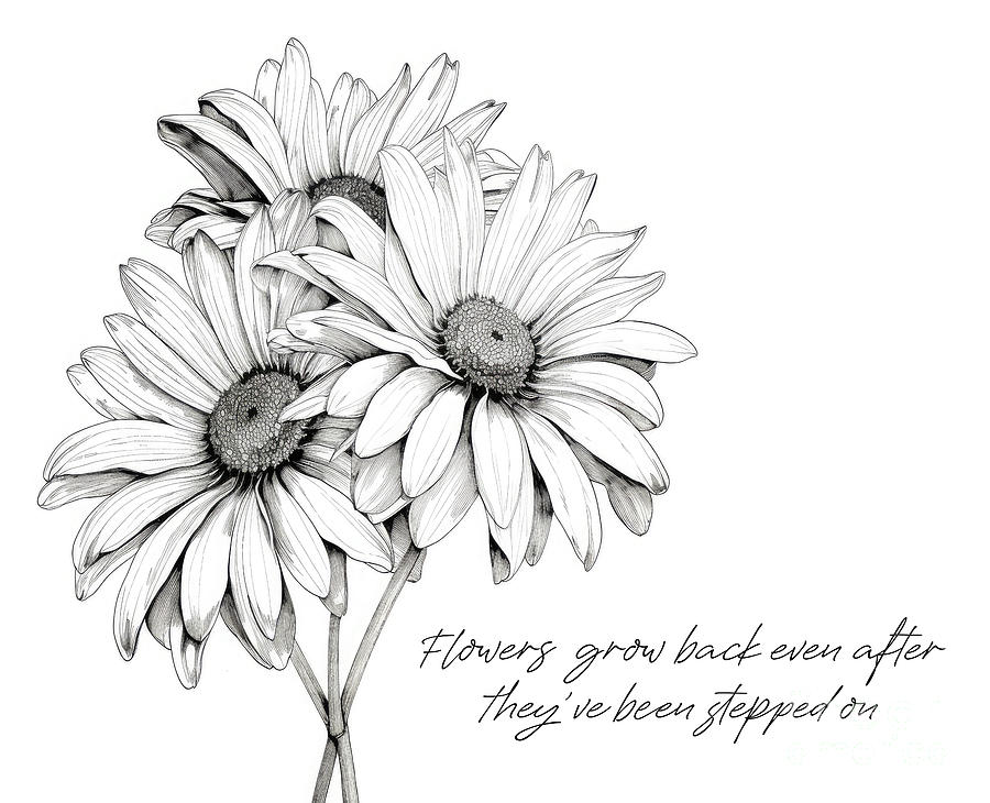 Flowers Grow Back Quote Mixed Media