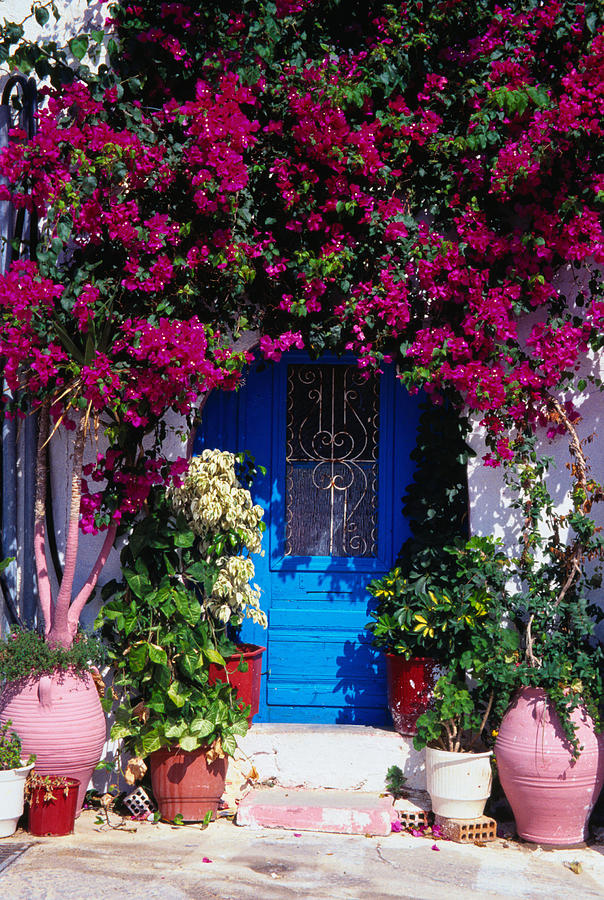 Flowers grow in an archway over a house door - Rethymno, Rethymno Province, Crete Photograph by Lonely Planet
