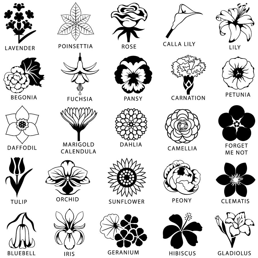 Flowers Icon Set Drawing by Vreemous