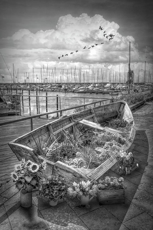 Flowers in a Rowboat in Black and White Photograph by Debra and Dave Vanderlaan