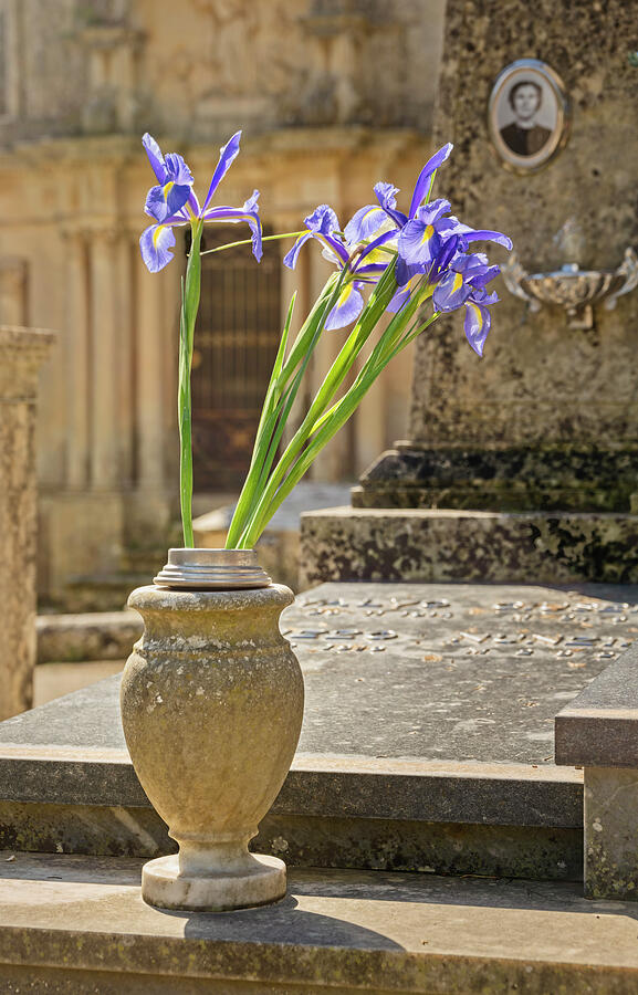 Flowers In A Sicilian Cemetery Photograph