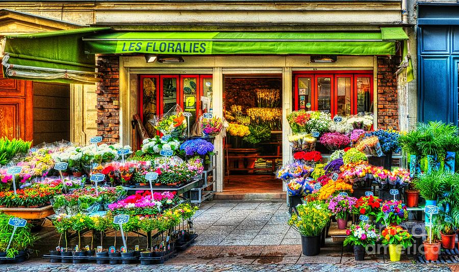 Flowers In France Photograph by Mel Steinhauer