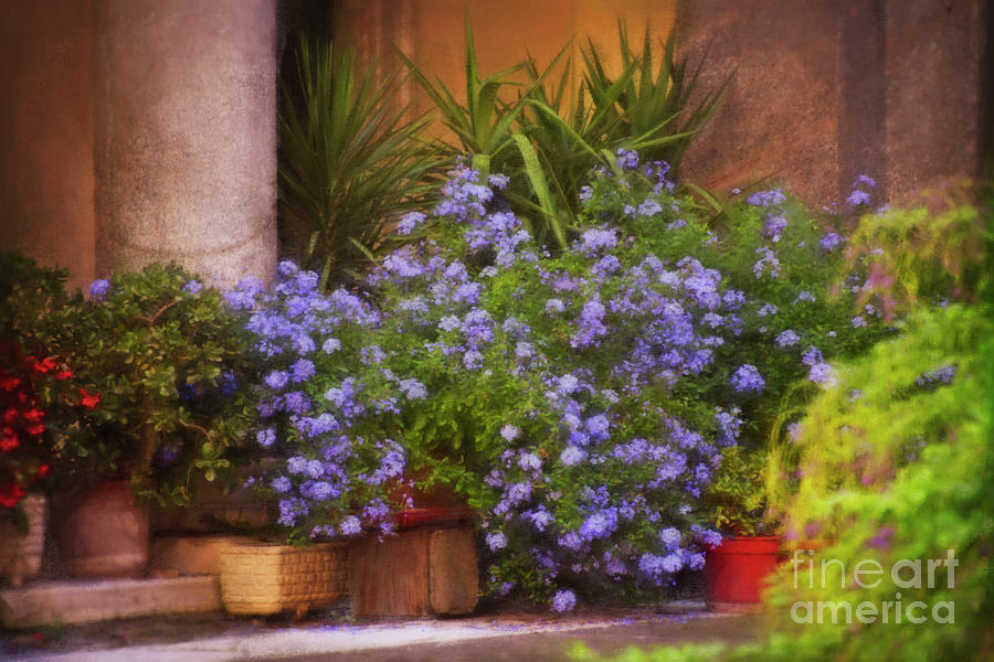 Flowers in the Courtyard Digital Art by Mary Machare