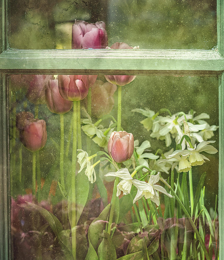 Flowers in the Window Photograph by Karen Jensen