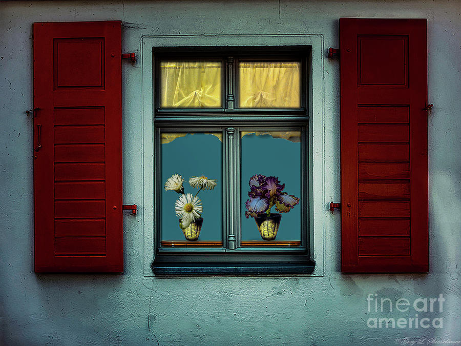 Flowers In The Windows Photograph