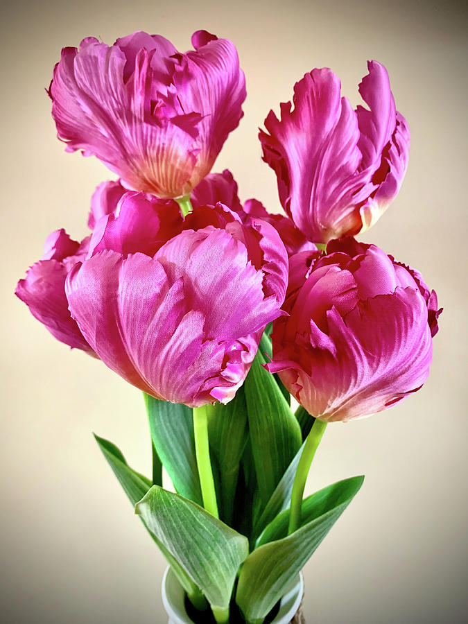 Flowers in Vase Photograph by Jim Feldman