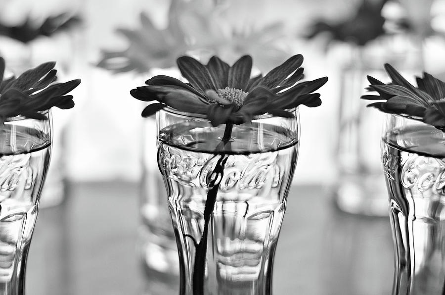 Flowers in Vintage Coke Glasses BW Photograph by Laura Fasulo