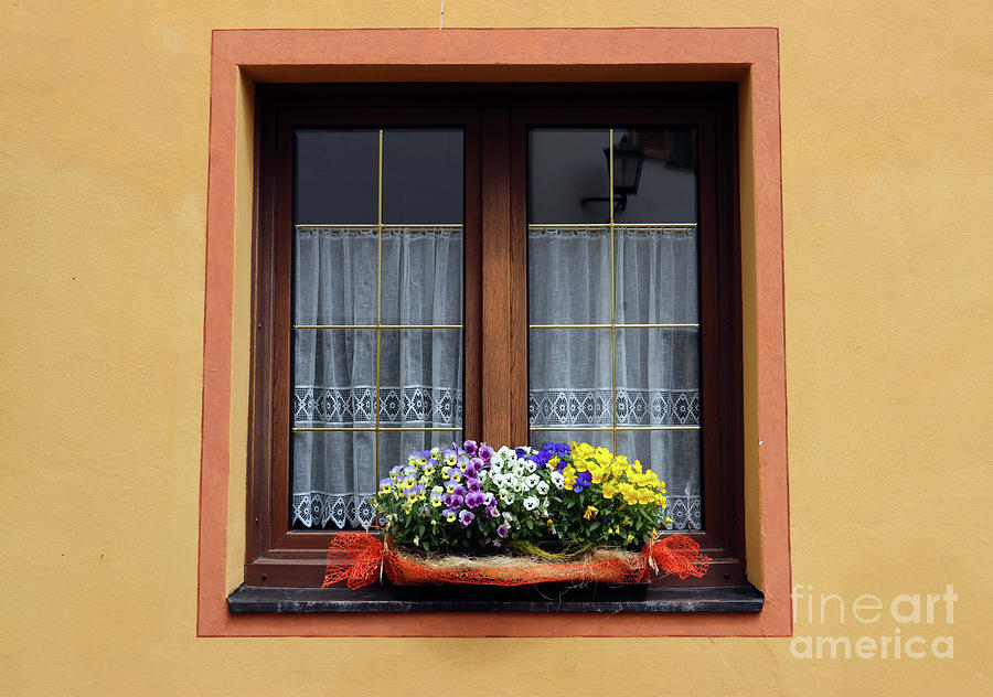 Flowers in Window in Italian Dolomites 8826 Photograph by Jack Schultz