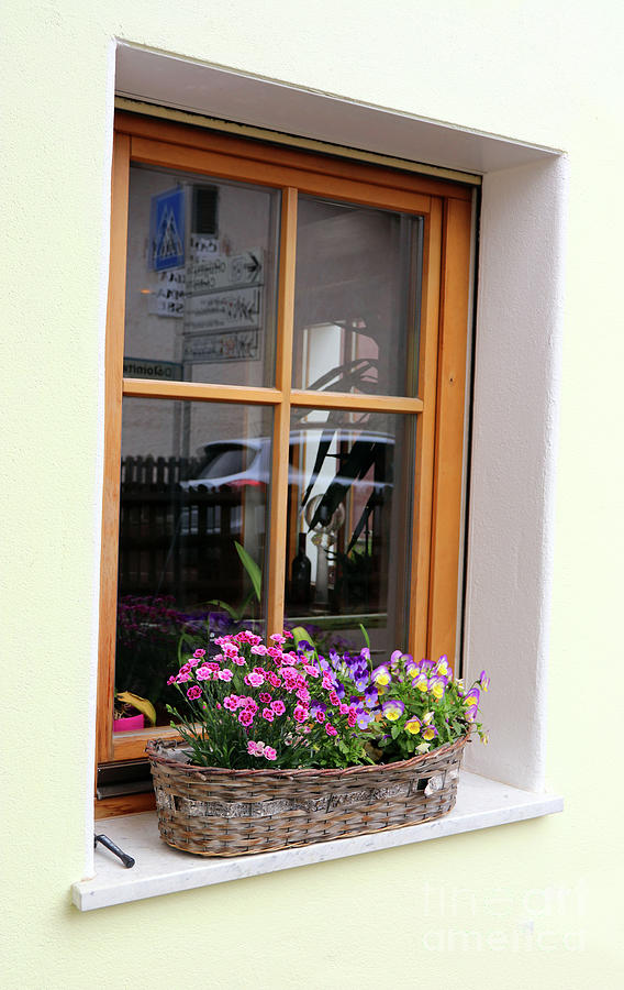 Flowers in Window in Italian Dolomites 8828 Photograph by Jack Schultz