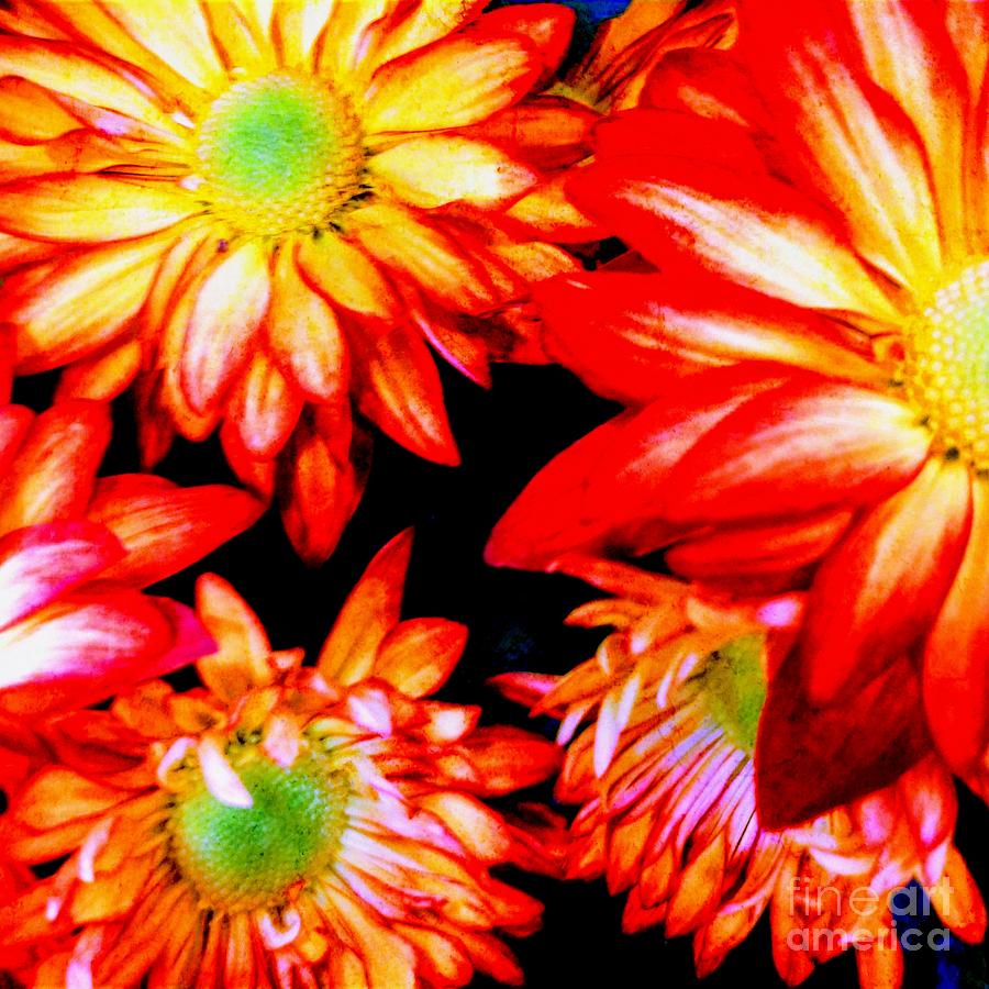 Flowers, N, Autumn Digital Art by Scott S Baker