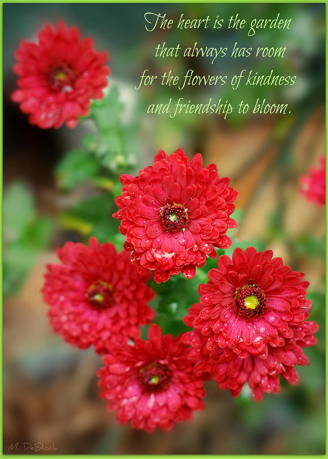 Flowers of Kindness Photograph by Marilyn DeBlock - Fine Art America