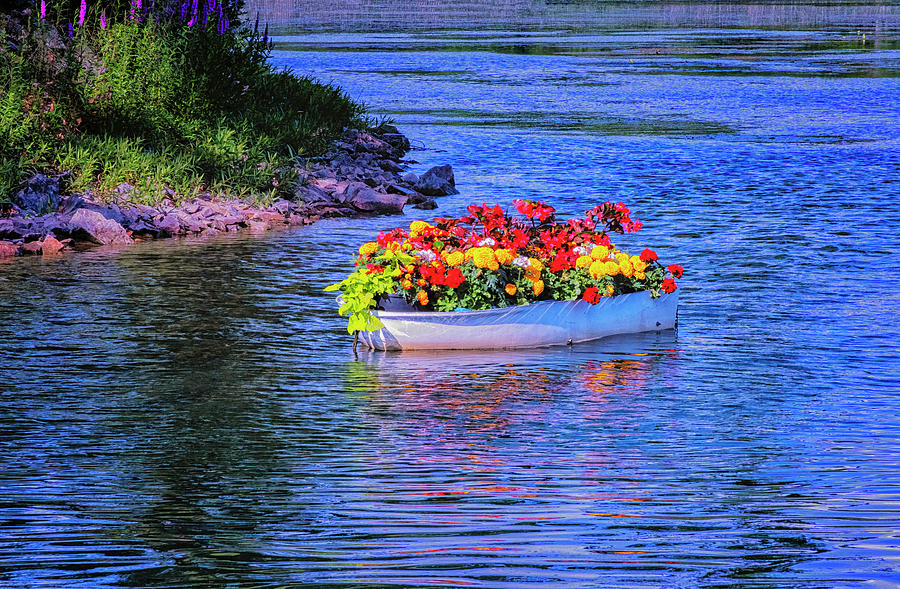 Flowers On A Boat Photograph by Tom Singleton