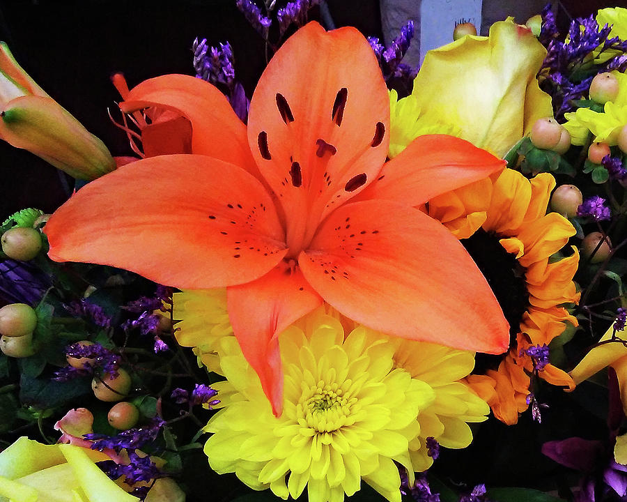 Flowers Orange and Yellow Photograph by Andrew Lawrence