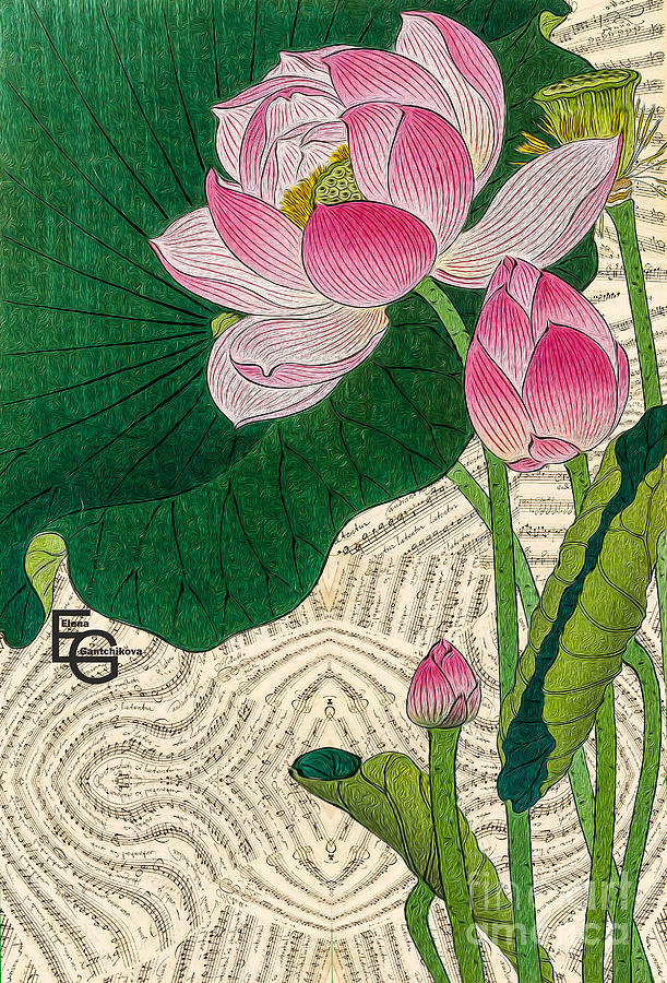Flowers pink water lilies on the background of musical score. Mixed Media by Elena Gantchikova