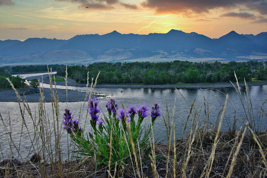 Flowers ,river, Mountains,Sunset Photograph by Randall Branham