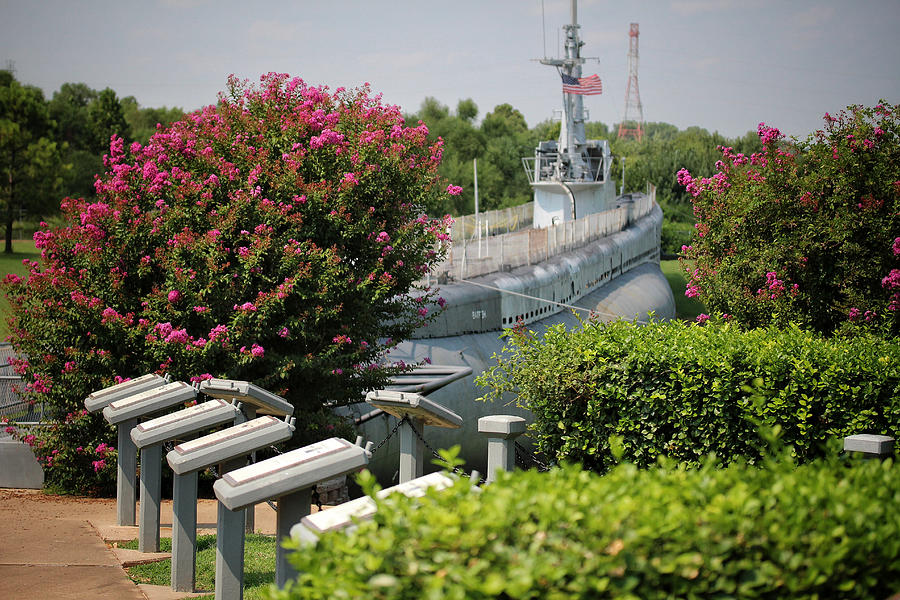 Flowers Surround A Submarine Photograph