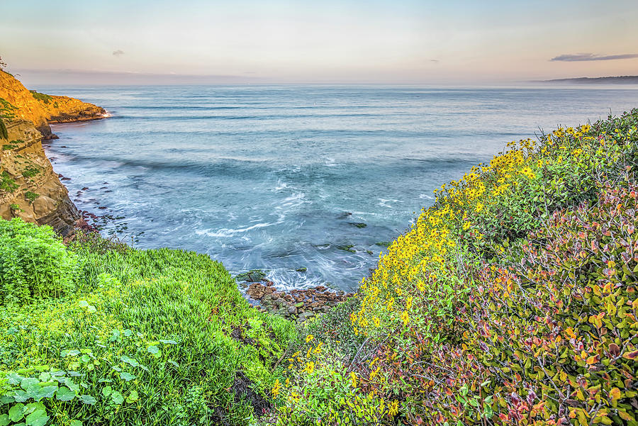 Flowers, The Sea, and Springtime La Jolla Coast Photograph by Joseph S Giacalone