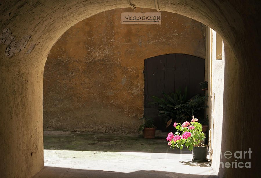 Flowers under arch Salo Italy Photograph by Bryan Attewell