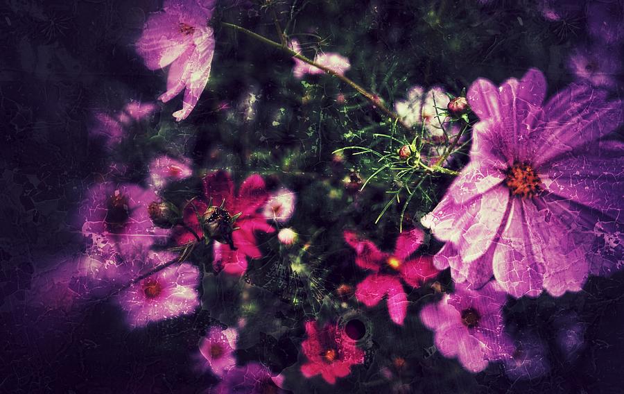 Flowers Vintage Photograph by Patricia Piotrak