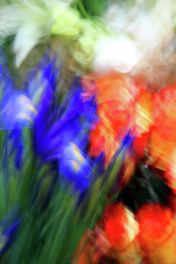 Flowerstand blur 9737 original Photograph by Carolyn Stagger Cokley