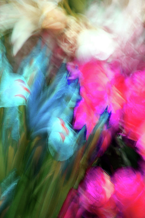 Flowerstand blur9737 Photograph by Carolyn Stagger Cokley