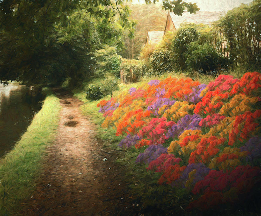 Flowery Path Photograph by Jason Fink