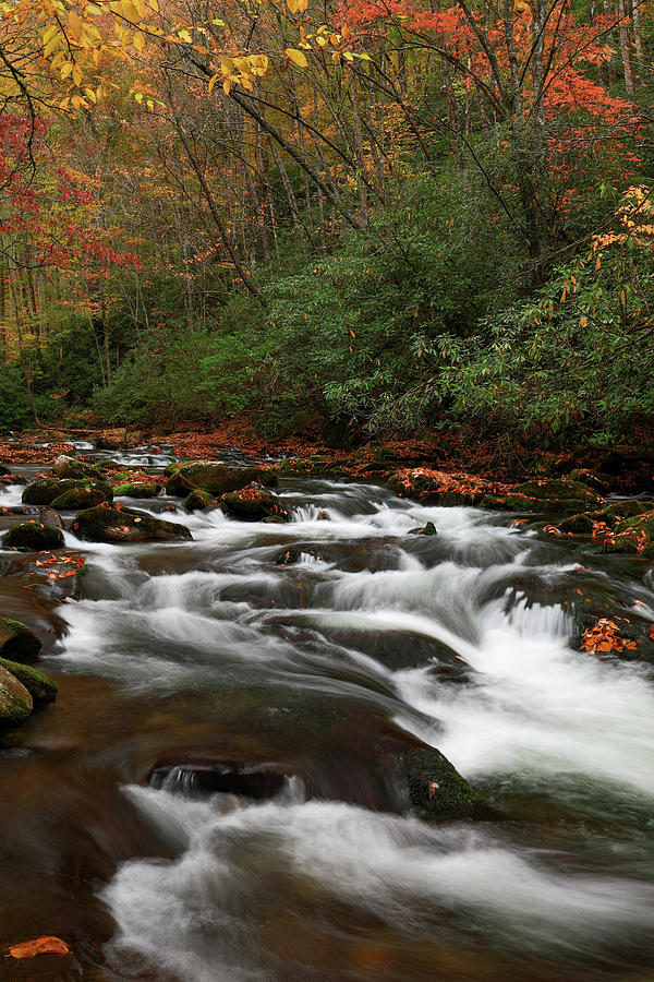 Flowing Cascades Autumn In The Smokies Photograph by Dan Sproul