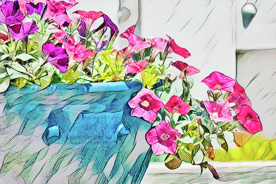Flowing Colorful Petunias Photograph by Debra Martz