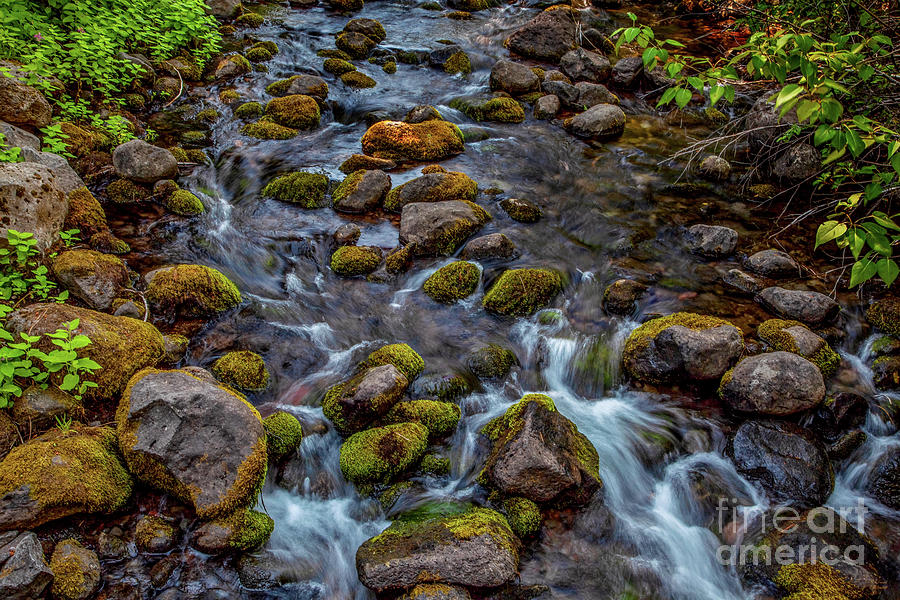 Flowing Creek Photograph by David Millenheft
