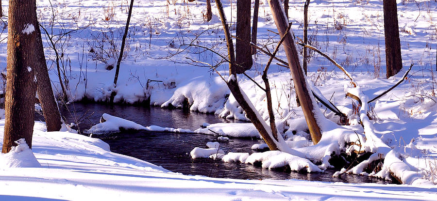  Flowing Creek in Winter Photograph by Rick Hansen