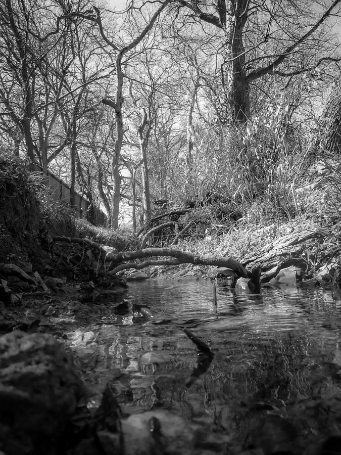 Flowing Creek Photograph by W Craig Photography