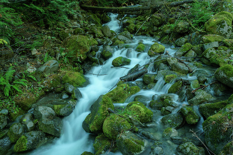 Flowing Down A Lush Mountain Side Photograph