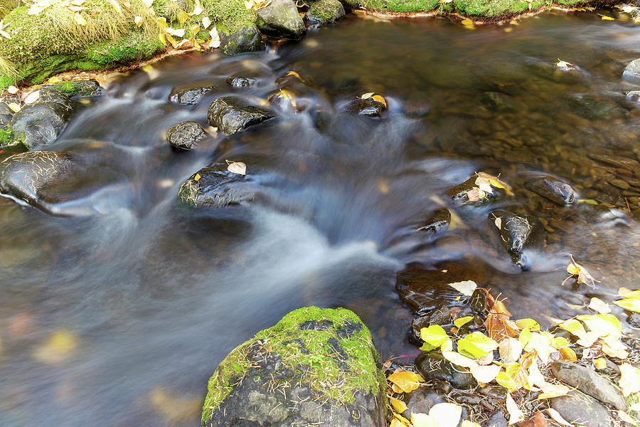 Flowing Free Photograph