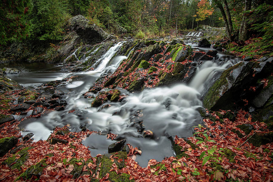 Flowing Into Fall Photograph by Josh Eral
