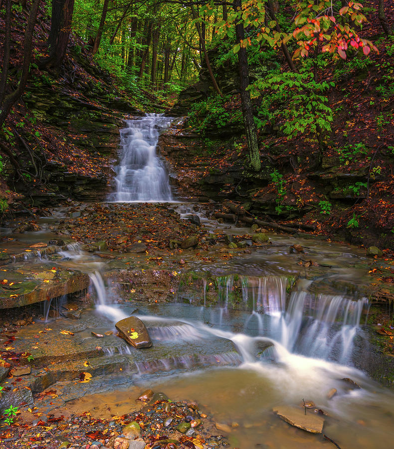 Flowing Into Fall Photograph by Samantha Kennedy