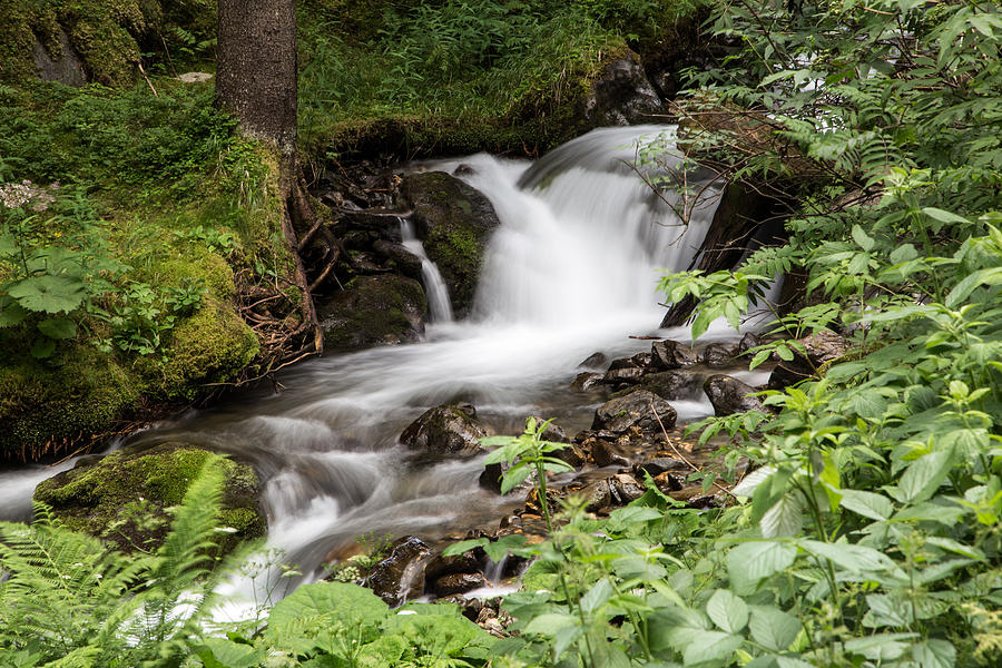Flowing river in the forest Photograph by Tgasser