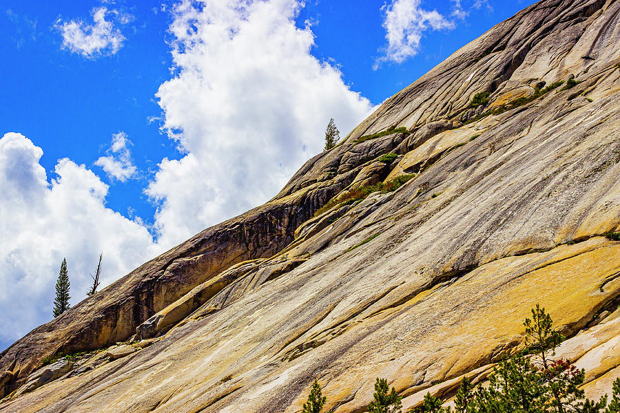 Flowing Slope Photograph by David Fountain