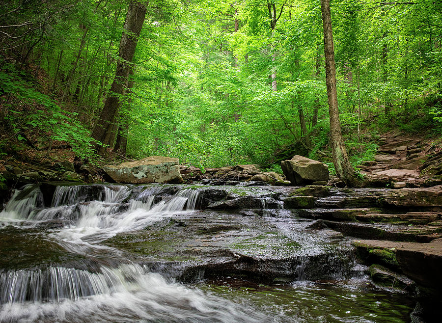 Flowing Spring Water In Ricketts Glen Photograph by Dan Sproul