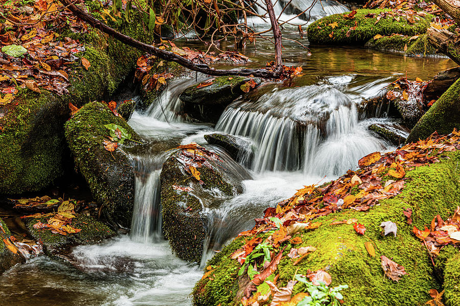 Flowing Stream In Autumn Photograph