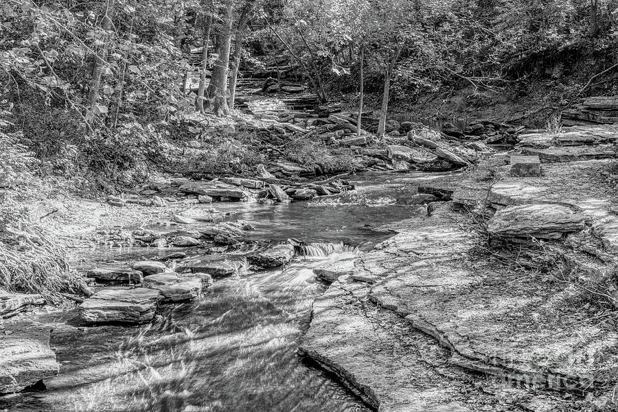 Flowing Tanyard Creek Grayscale Photograph by Jennifer White