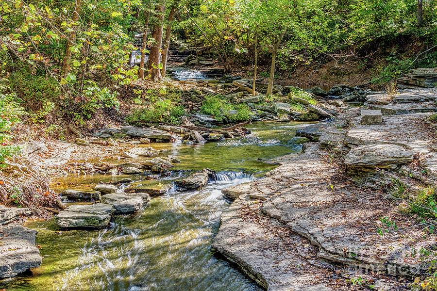 Flowing Tanyard Creek Photograph by Jennifer White