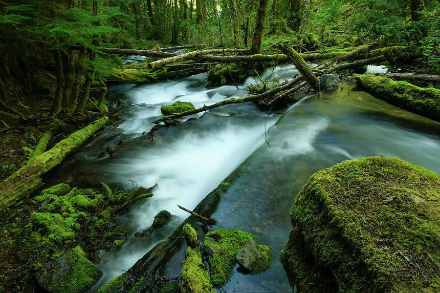 Flowing through the deep green Photograph by Jeff Swan