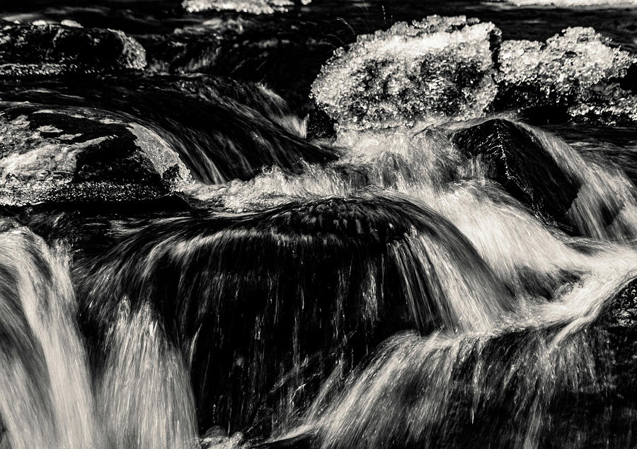 Flowing Water Woodland Stream 1 BW Photograph by Michael Saunders
