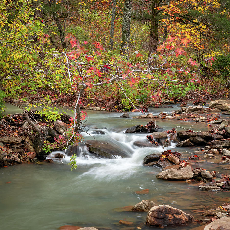 Flowing Waters Along Falling Water Creek In Autumn Photograph by Gregory Ballos