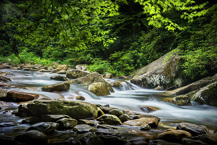 Flowing Wilderness Stream in The Smoky Mountains Photograph by Randall Nyhof
