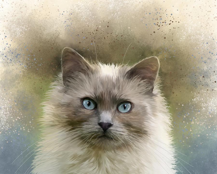 Fluffy Cat 694 Digital Art by Lucie Dumas