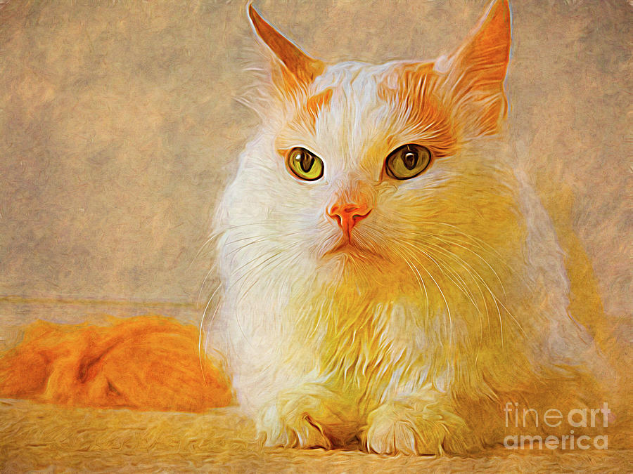 Fluffy cat art print Painting by H F - Fine Art America