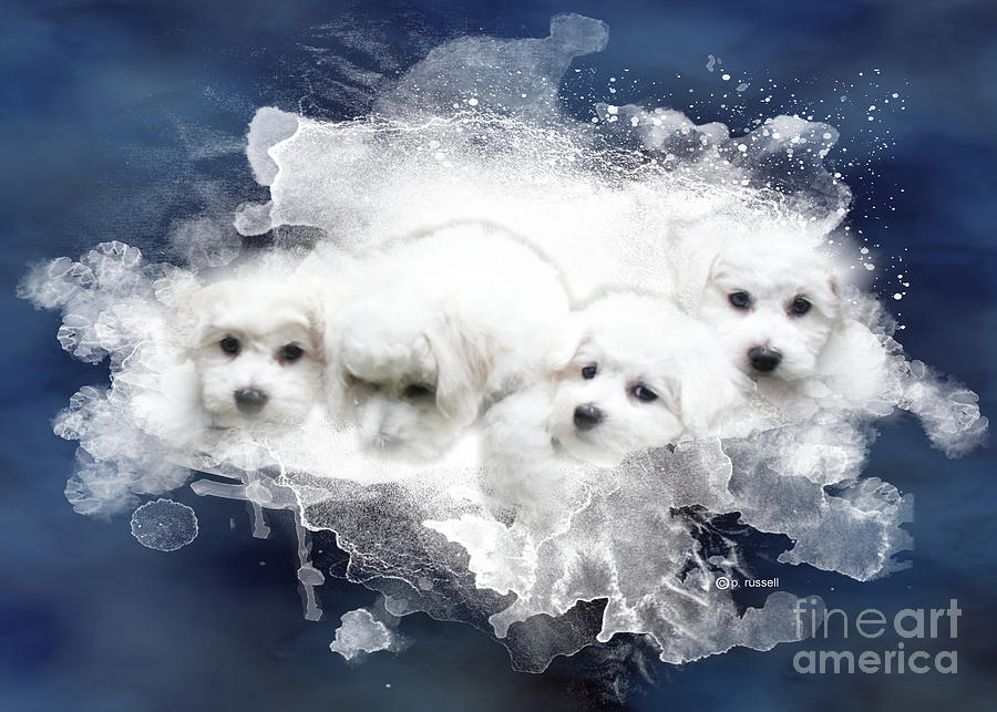 Fluffy Puppies Digital Art by P Russell