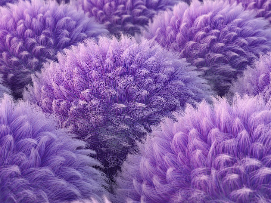 Fluffy purple spheres, 3d rendering Drawing by Westend61